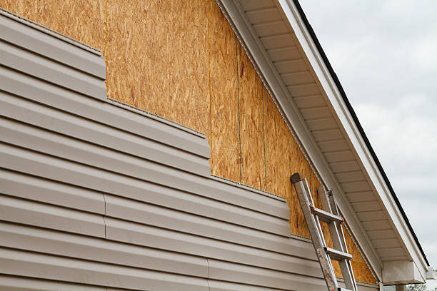 Professional Vinyl Siding technician working in Mcdaniel, MD